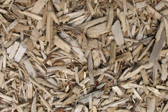 biomass boilers Llidiardau